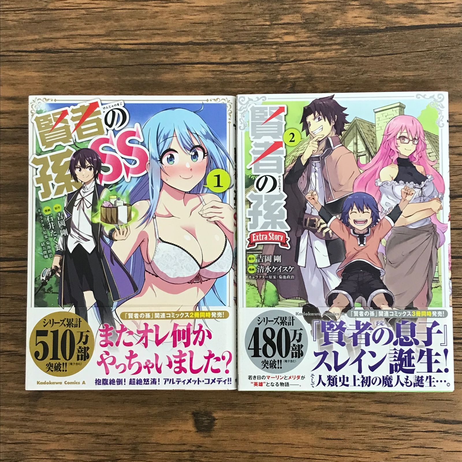「賢者の孫」 10冊＋「Extra story」2冊＋「SP」1冊＝13冊 賢者の孫 SS 1巻 賢者の孫 Extra Story 2巻/【作者】吉岡 剛