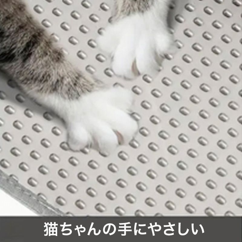 機能性
