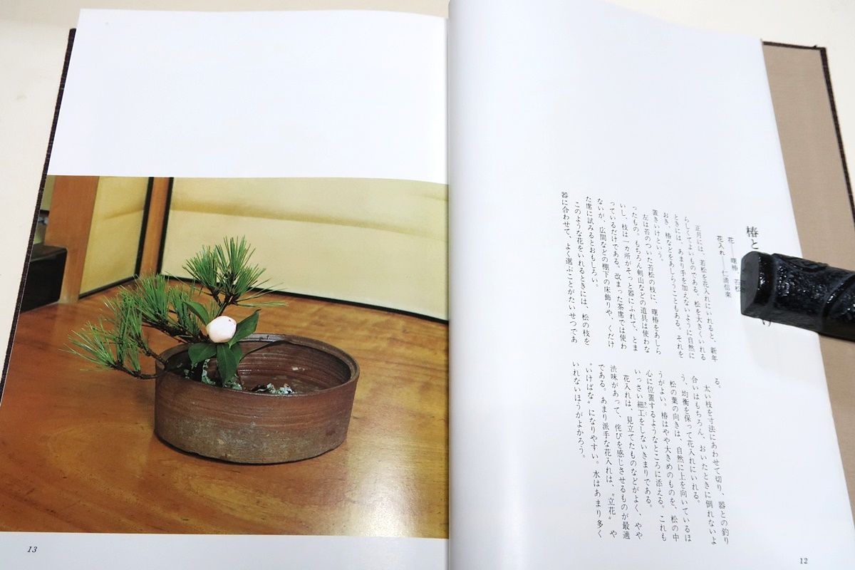 茶花入門・田中仙翁/茶の点前シリーズ6・大日本茶道学会・茶花・田中