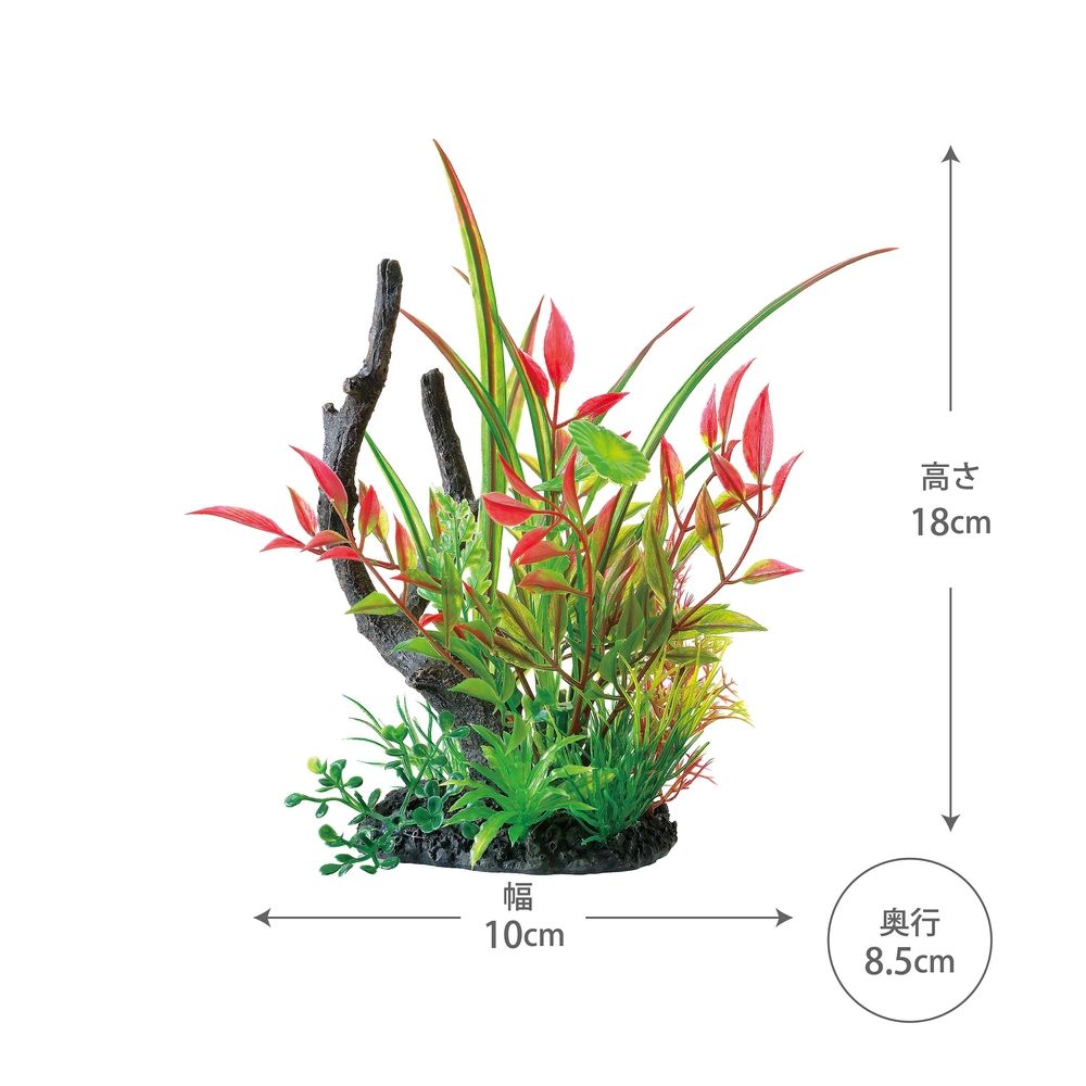 セット ジェックス癒し水景MIXプランツウッドルドウィジア