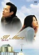 イルマーレ DVD
