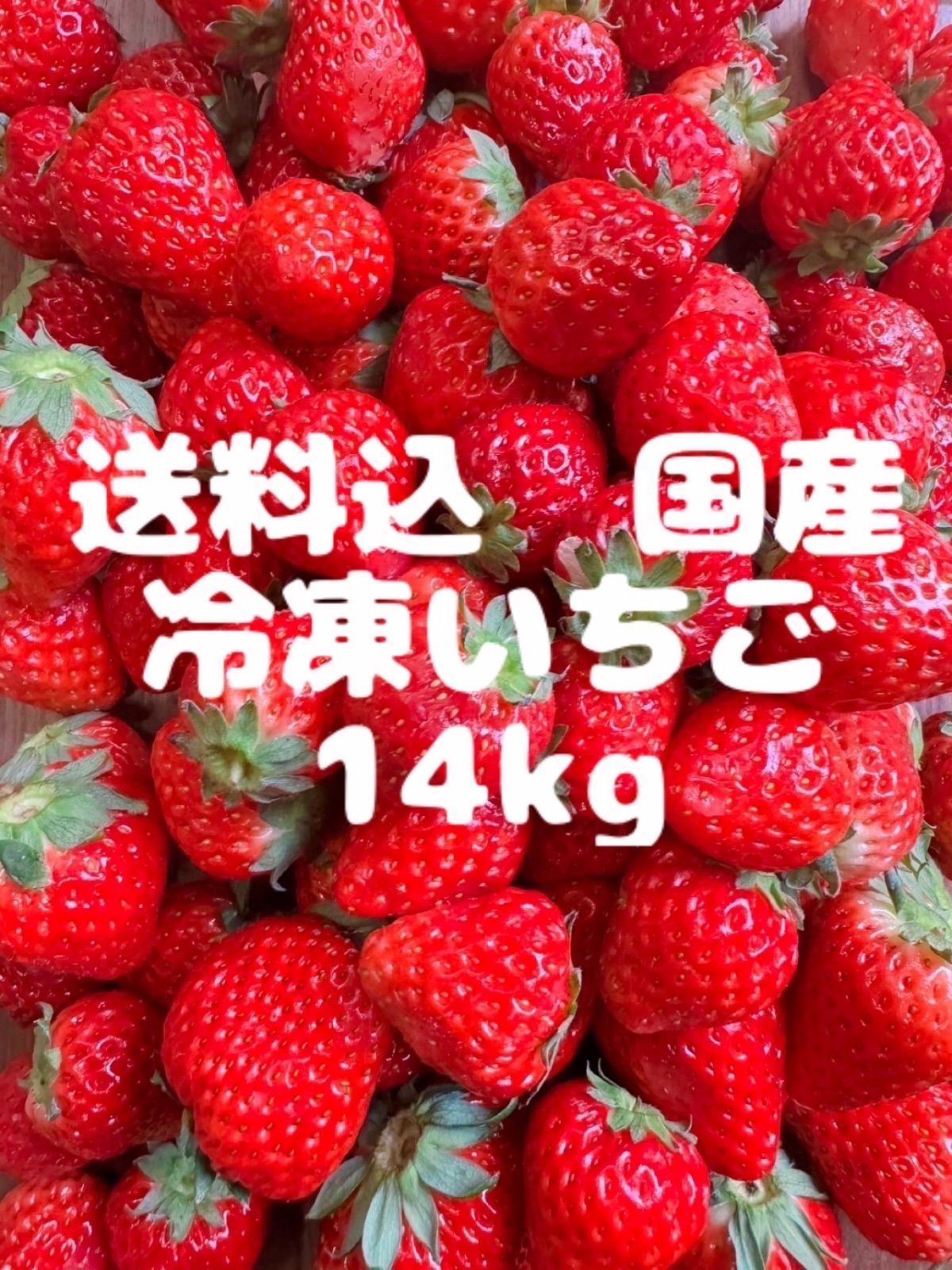 ? 14kg 国産 愛知県産 いちご 紅ほっぺ あきひめ イチゴ 苺 いちご ?nn