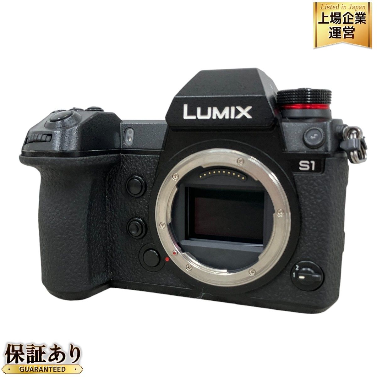 Panasonic LUMIX DC-S1 フルサイズ ミラーレス 一眼 カメラ ボディ パナソニック ルミックス 元箱有 写真 撮影 中古 M9198667