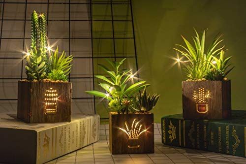 Set 1 人工多肉植物 人工観葉植物三種セット 木箱にLEDライト付き 人工多肉植物 プラスチック製トピアリー 家庭・オフィス飾り用 テーブル装花 インテリアグリーン