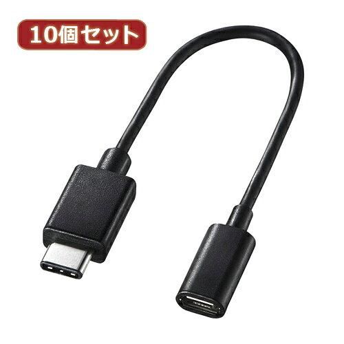 【新品・5営業日で発送】AD-USB25CMCBX10