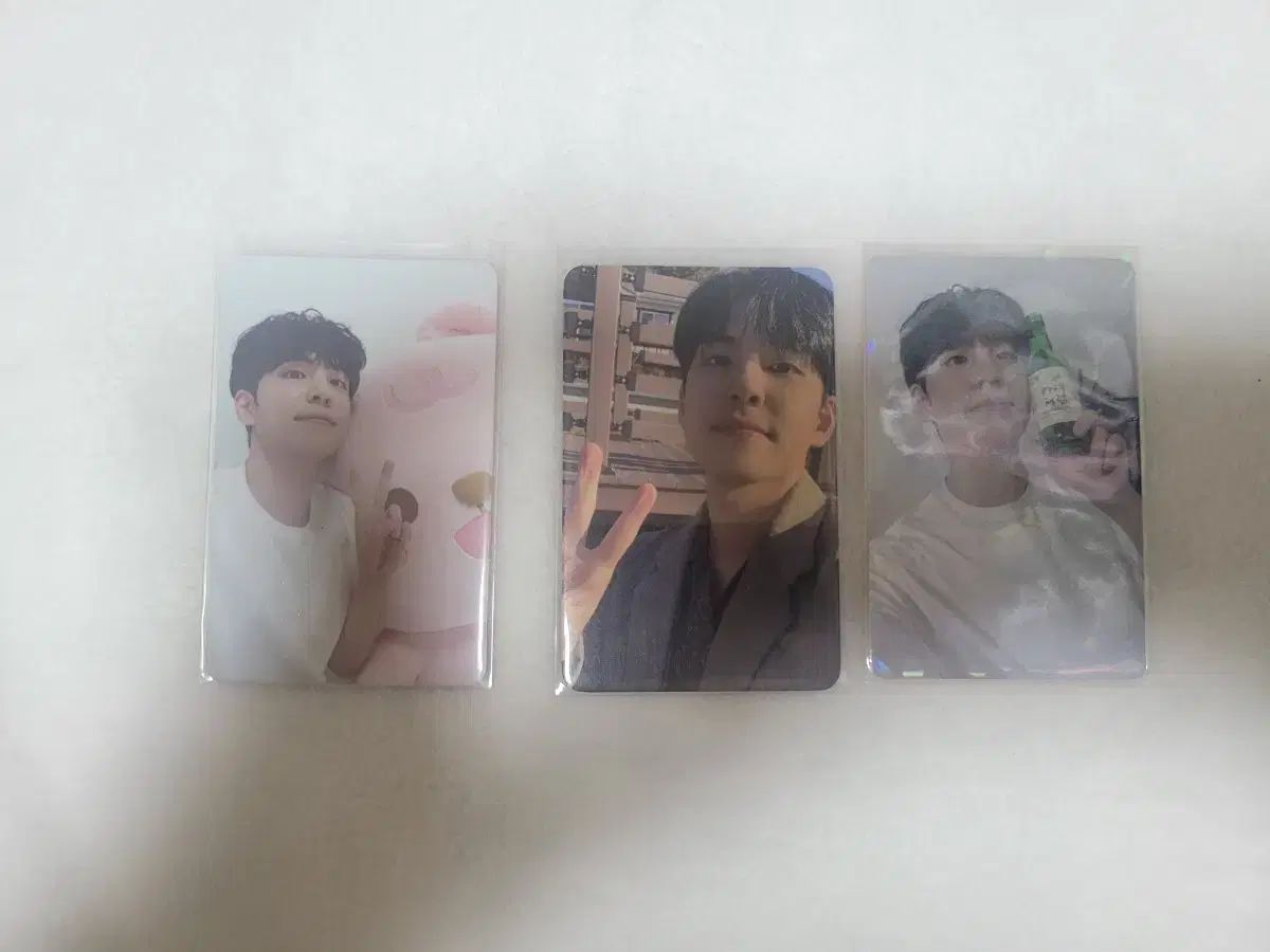DAY6 ウォンピル wonpil 会場購入特典 トレカ Day6 DAY6(デイシックス) ウォンピル(WONPIL) ソルコン