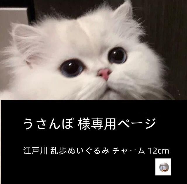 えどがわ様専用 （つう様専用 サクラ(桜井釣漁具) 金波 江戸川