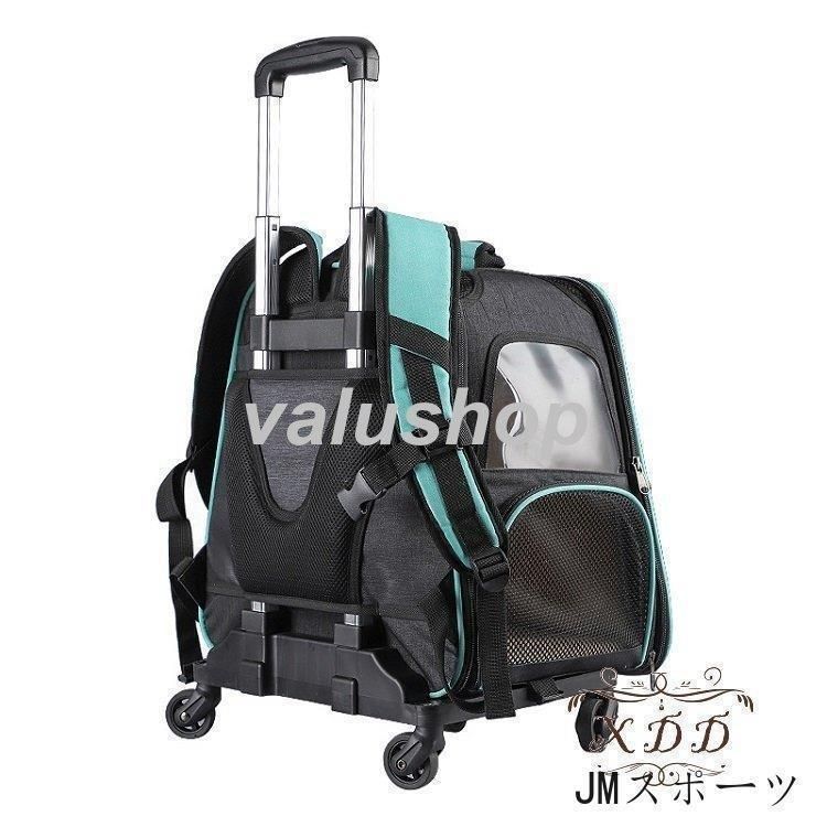 ドライブ キャンピング