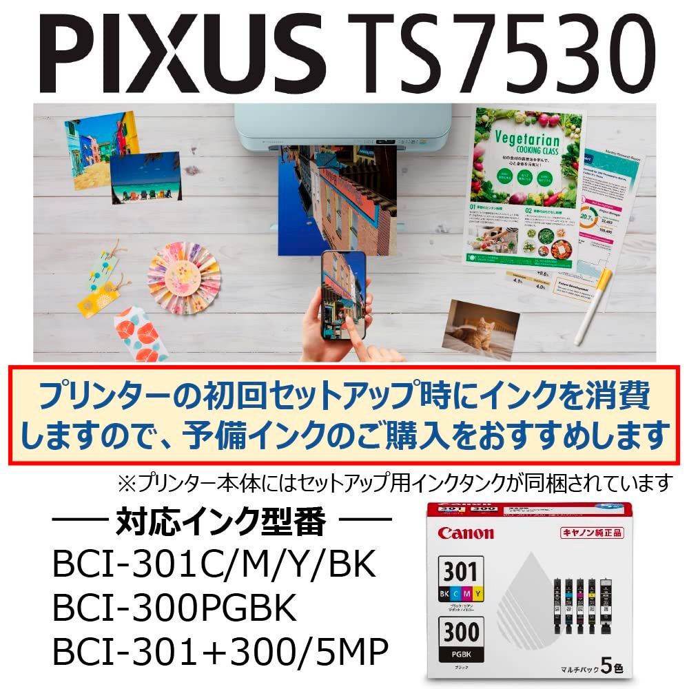 新着商品 ブルー TS7530 2021年モデル PIXUS テレワーク向け A4インクジェット複合機 プリンター 5色 独立型 対応インクBCI-300 301シリーズ Canon