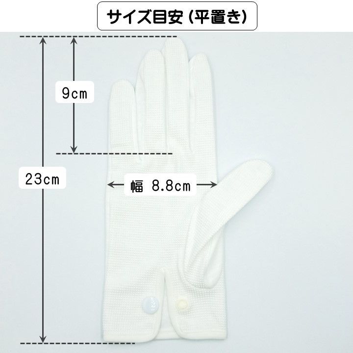 サイズL 1双組 スムス手袋 綿手袋 白手袋 生写真整理 綿100% 綿スムス2