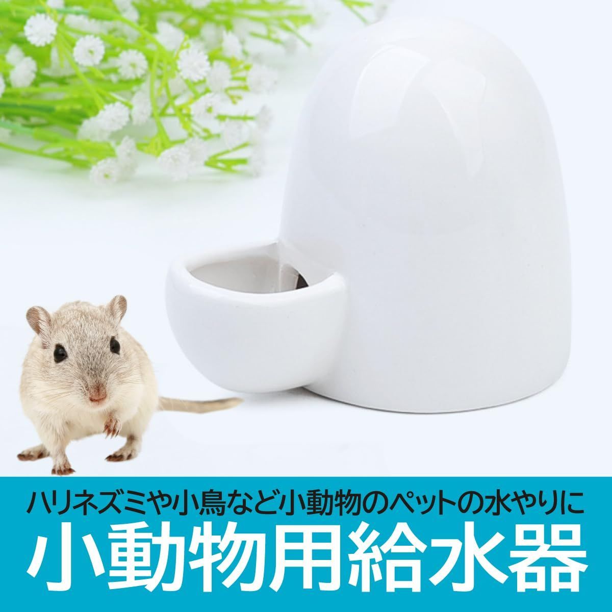 小鳥