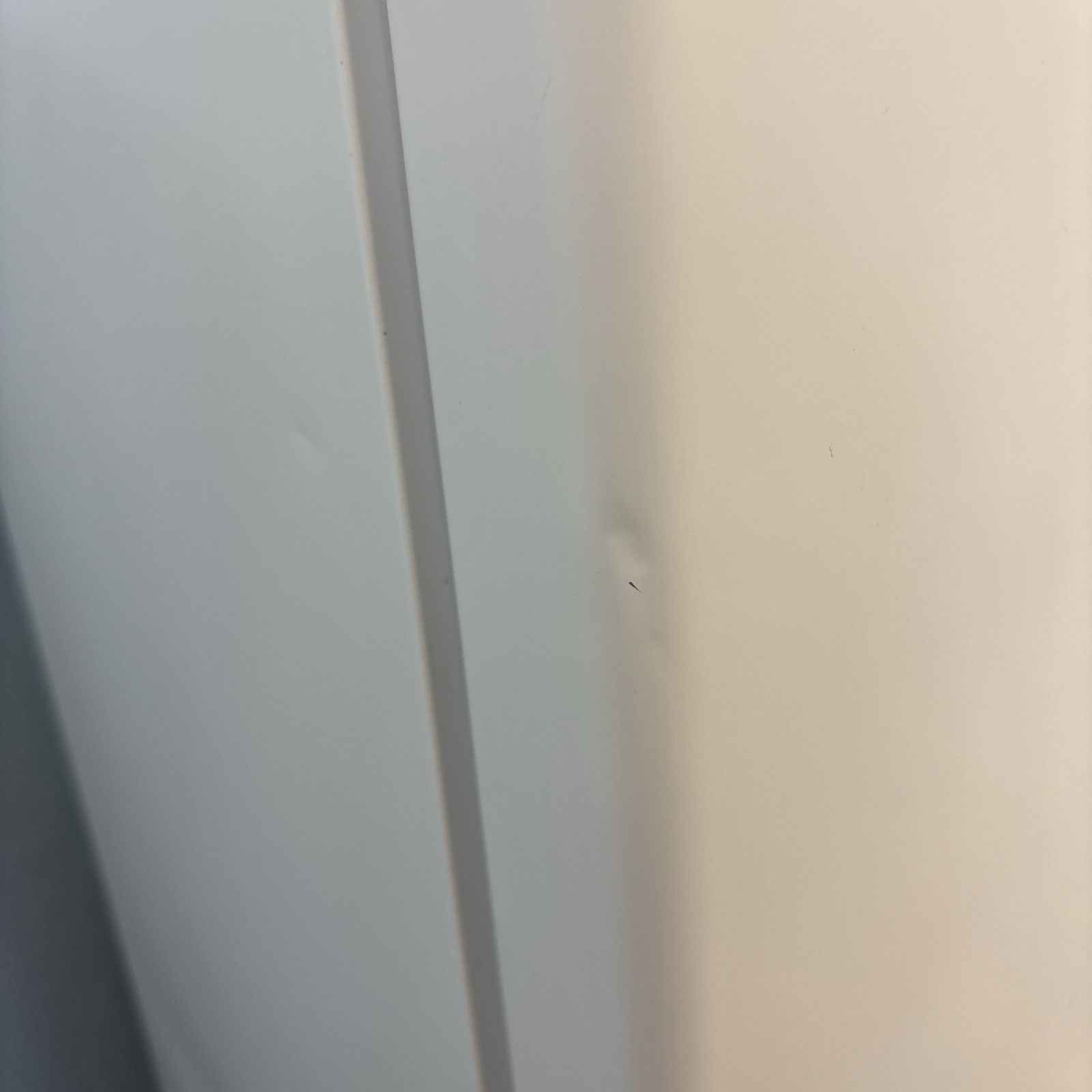 クリーニング済