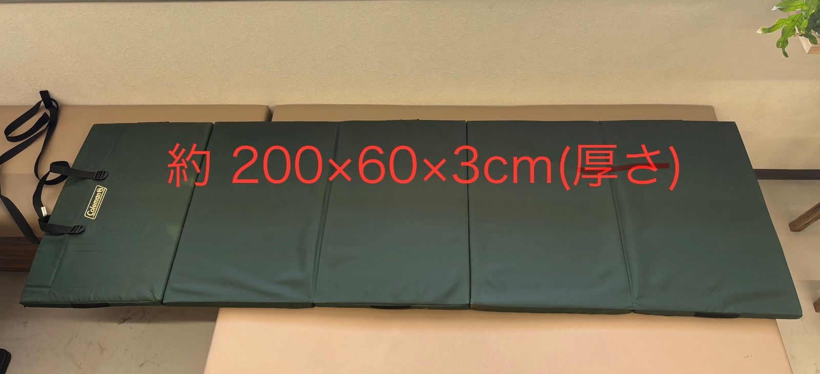 2枚セット◾️Coleman コールマン フォールディングマット