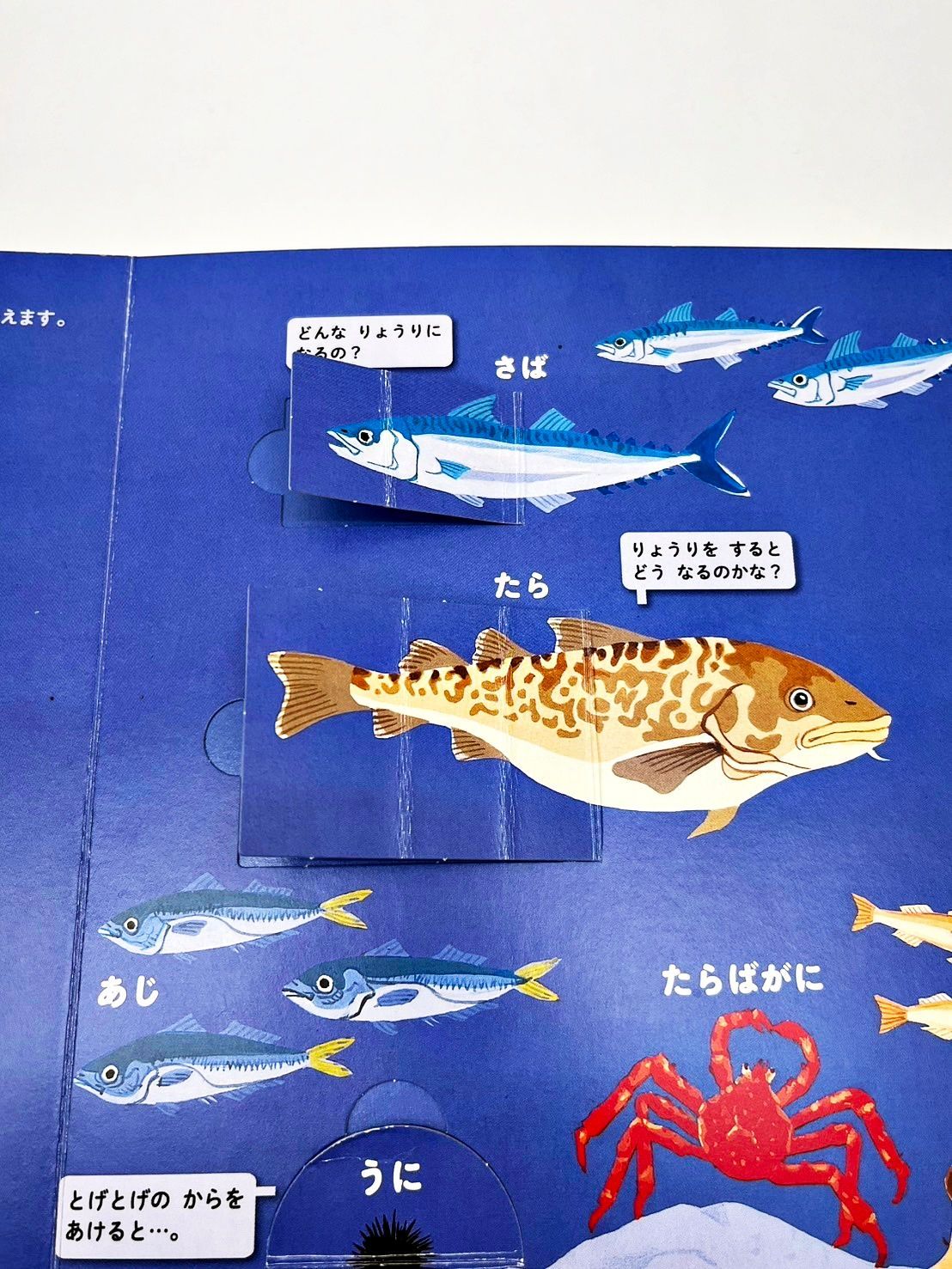 学研 はっけんずかんプラス 6巻セット 学研 はっけんずかんプラス 6巻セット 学研 はっけんずかんプラス 6巻