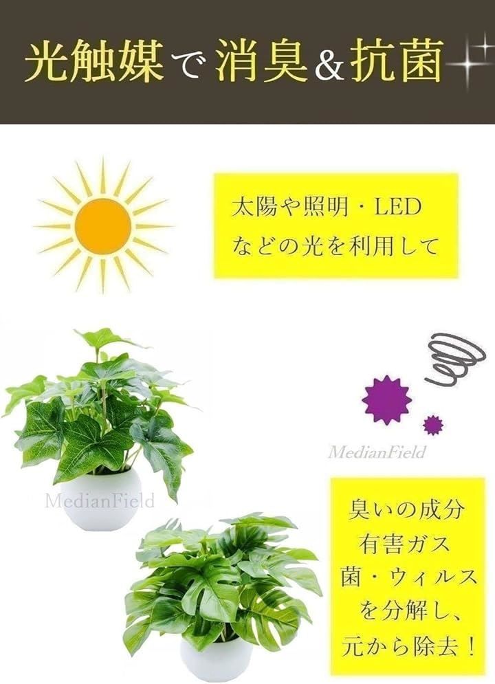 観葉植物 MedianField 観葉植物 光触媒 ミニ 鉢植え 3個 セット