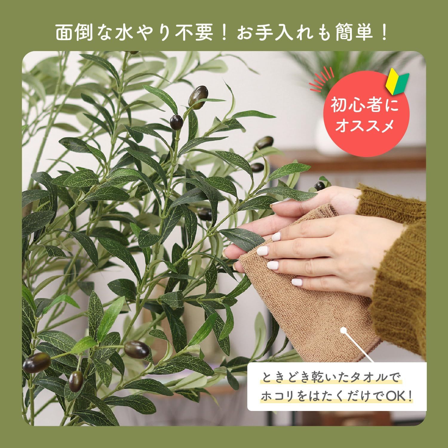 オリーブ