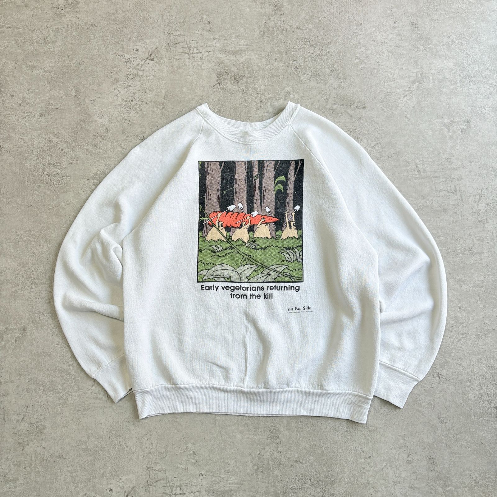 80～90s USA製 The Far Side Comic Raglan sleeve Sweatshirt