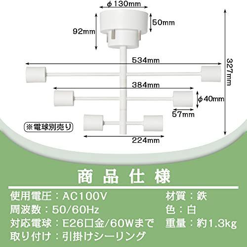 Hzfluo シャンデリア シーリングライト 6灯 E26 ペンダントライト 天