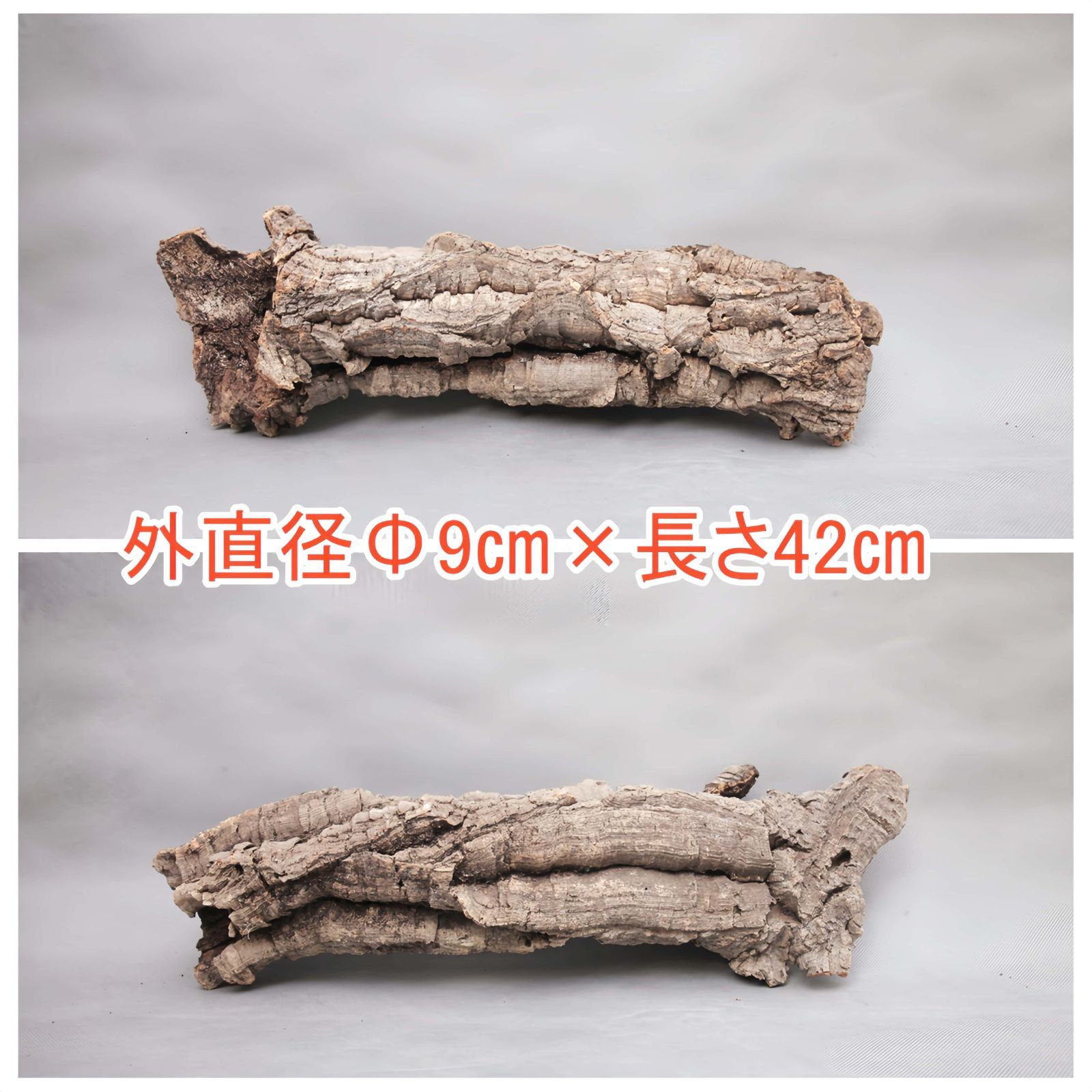 250822 ポルトガル産 キャノンコルク コルク樹皮コルク板
