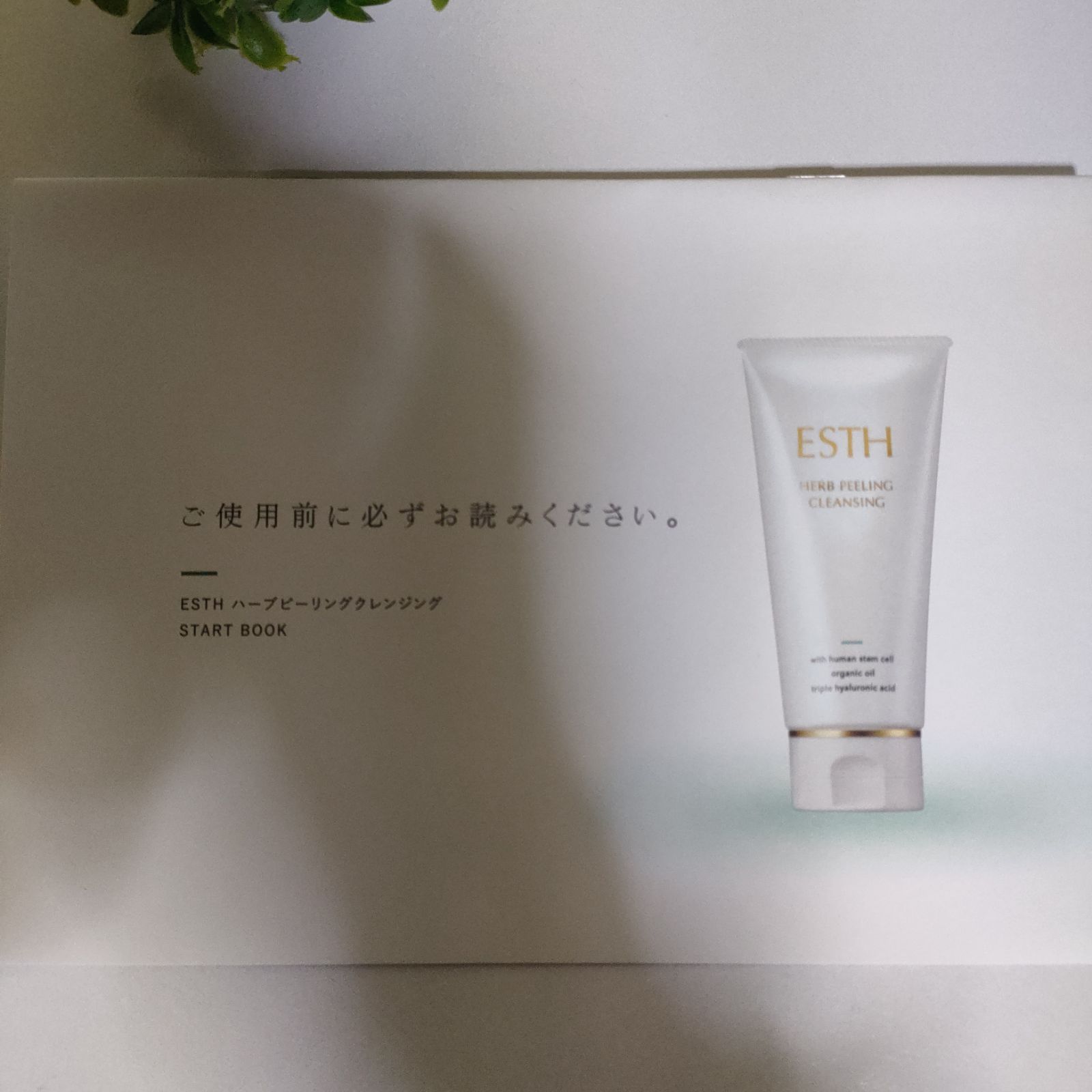 ESTH HERB PEELING CLEANSING 120g 2本セット ESTH ハーブ