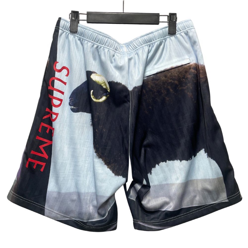 SUPREME シュプリーム 25SS Damien Hirst Soccer Short ダミアン
