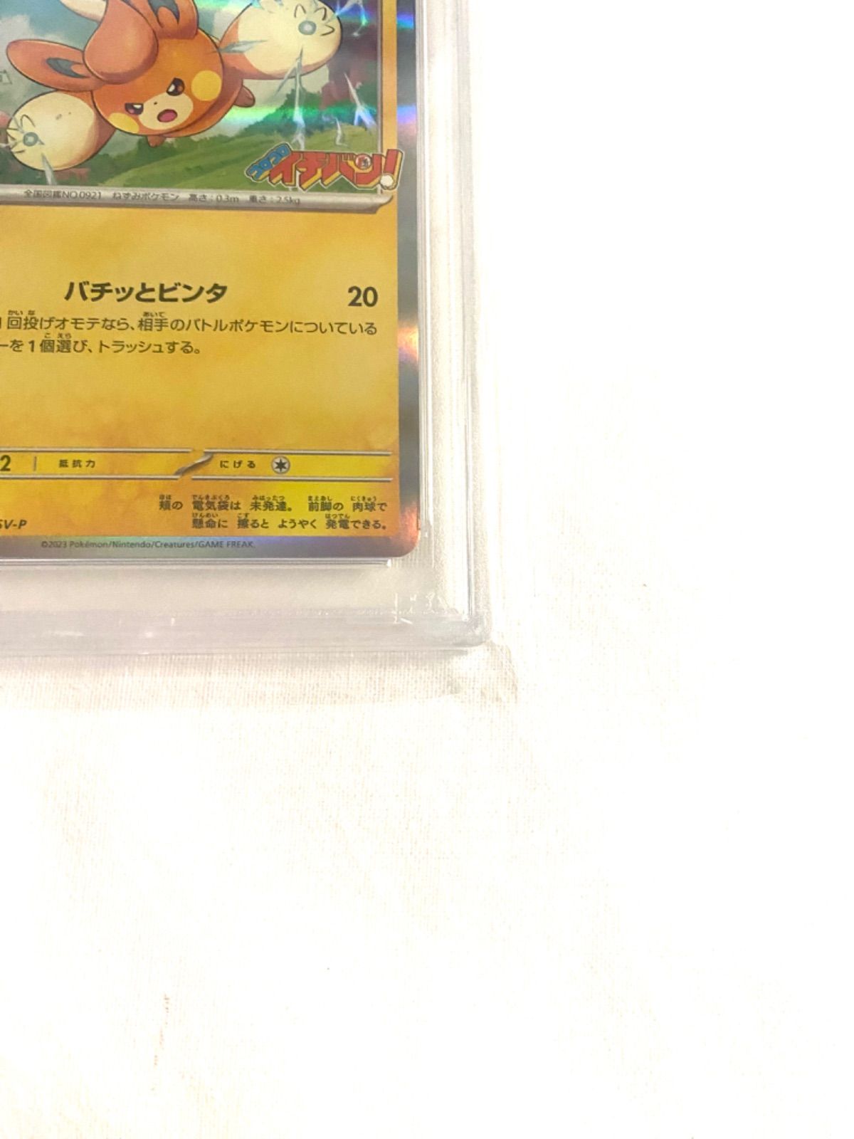 ポケモンカード パモ プロモPSA10 コロコロイチバン！ 035/SV-P