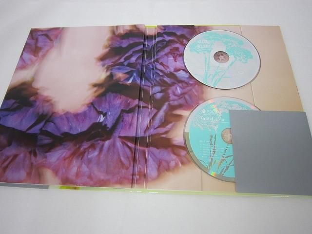 中古品 アーティスト SKYPEACE スカイピース のみ Grateful For