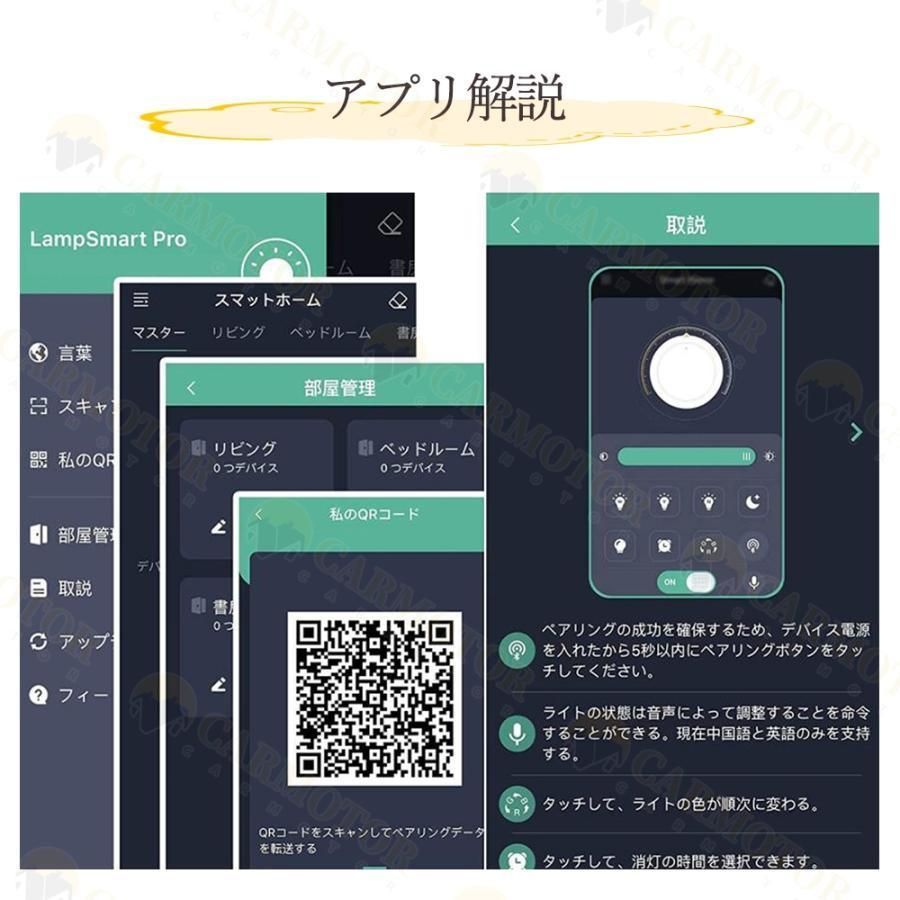 天井照明 12畳