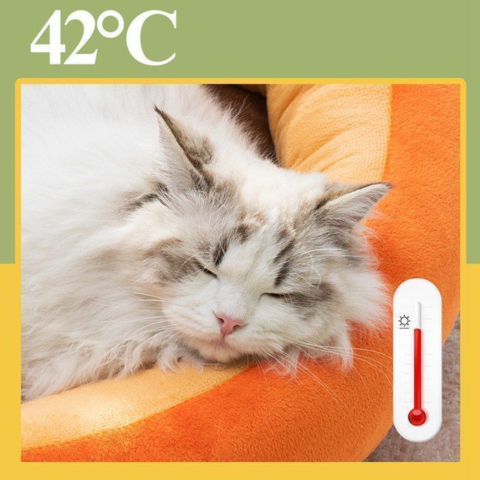 ベッド 猫ベッド