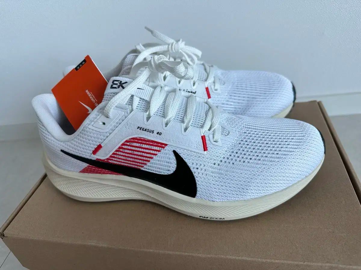 NIKE ナイキ ペガサス 40 キプチョゲ 265