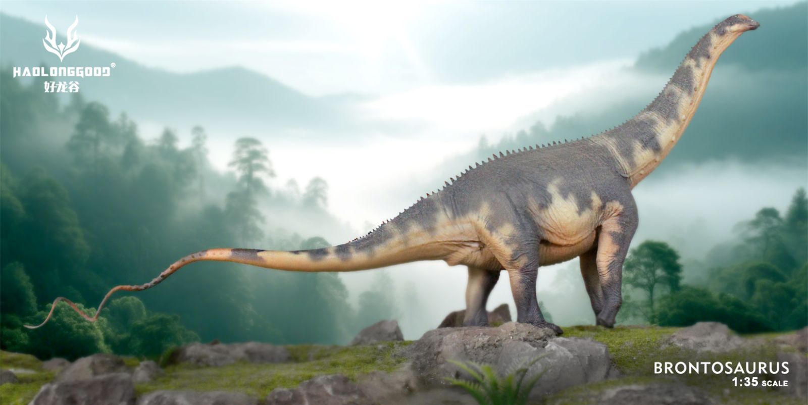 HAOLONGGOOD 1 35 サイズ ブロントサウルス 45.5cm級 草食系 恐竜 フィギュア グレー