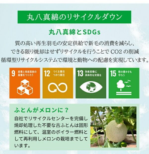 リサイクルダウン80