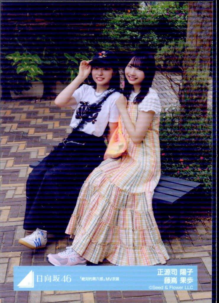 し*う様 日向坂46 絶対的第六感 MV衣装 生写真 正源司陽子＆藤嶌果歩 セミ Amazon.co.jp: 日向坂46 正源司陽子 生写真 絶対的第六感 MV衣装