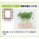 10個セット ARTEC