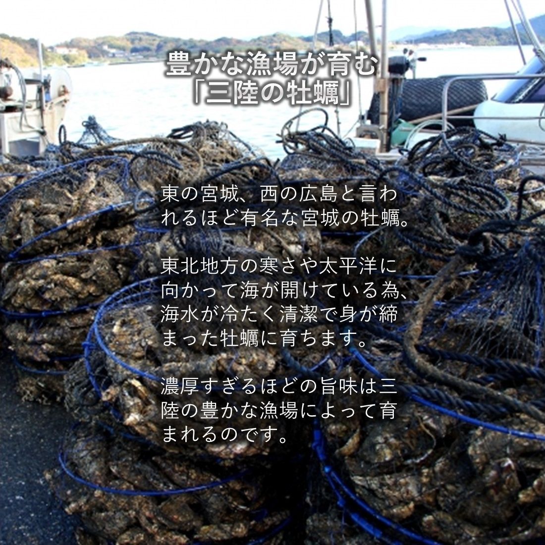 牡蠣 みちのく三陸産 殻付き牡蠣 3kg 産地直送 日持ち抜群 加熱用  亜鉛 ミネラル豊富 バーベキュー 鍋 カキフライ 焼く 揚げる 蒸す等 様々な調理に