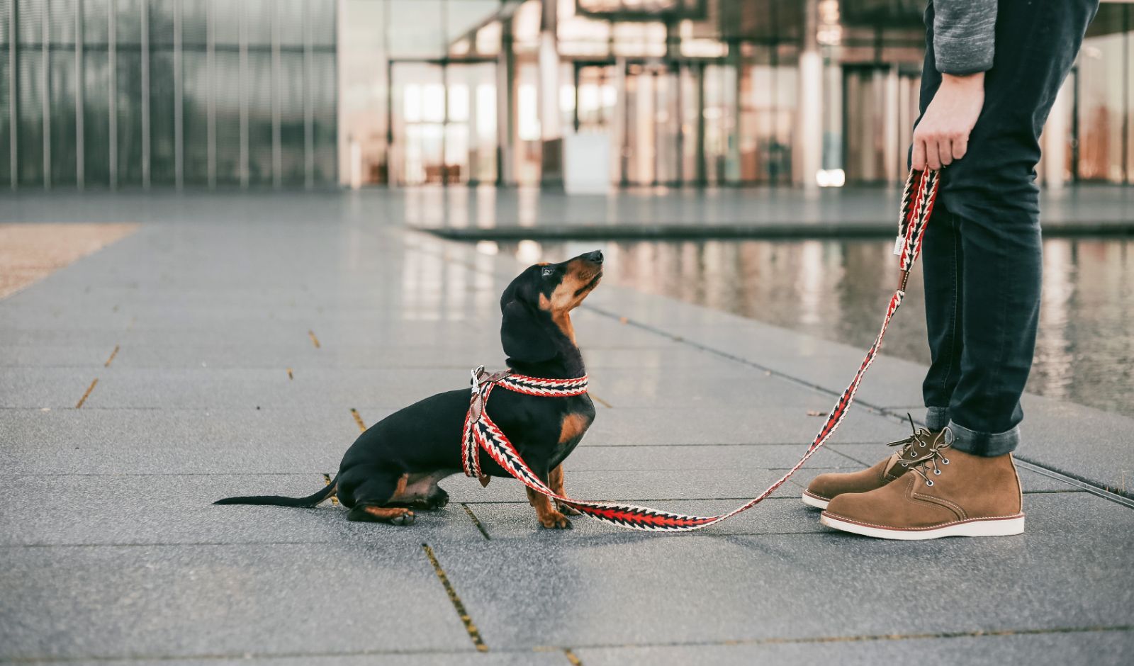 スペイン製 高級犬用ハーネスPeruvian Arrow Red（小型犬中型犬