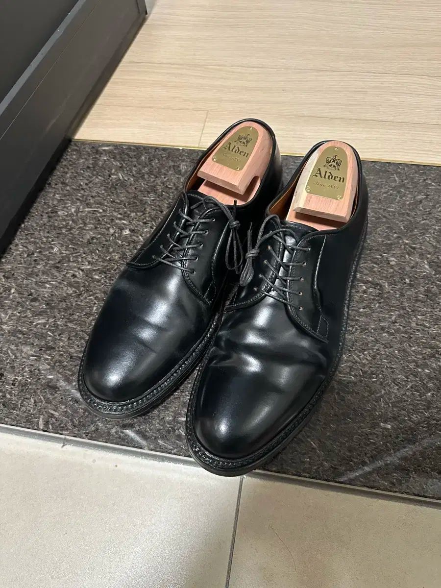 ALDEN オールデン 9901 US 9D