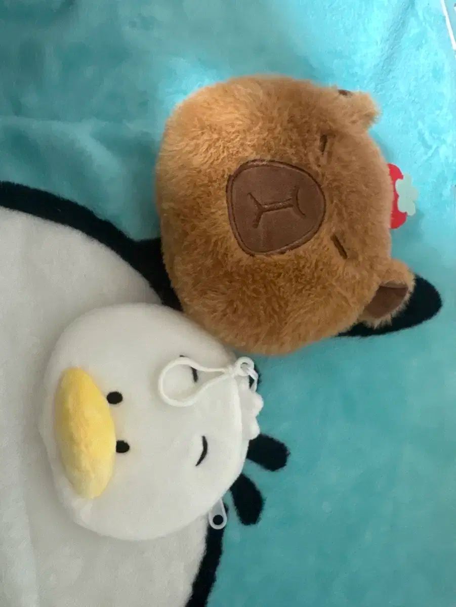 カピバラ アヒル 財布 人形