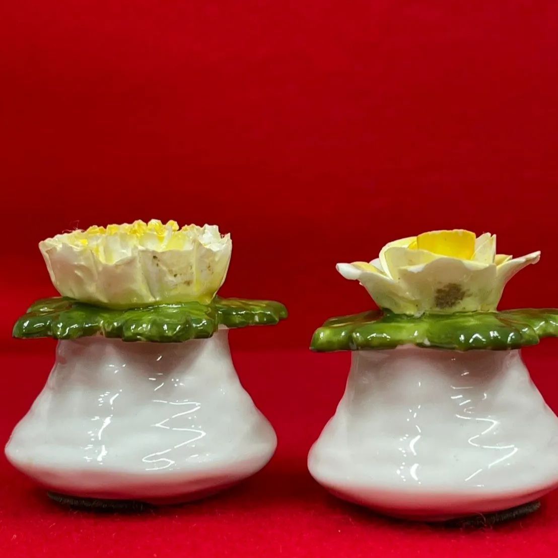 AYNSLEY エインズレイ 陶花 ソルト＆ペッパー 置物 2個セット N-3