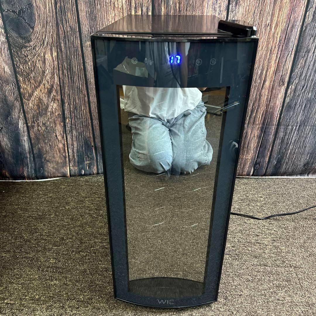 WIE電子 ペルチェ式ミニワインクーラー WIWCTE12BFGADX WIE電子