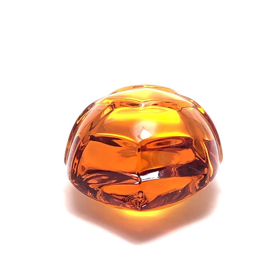 バカラ タートル