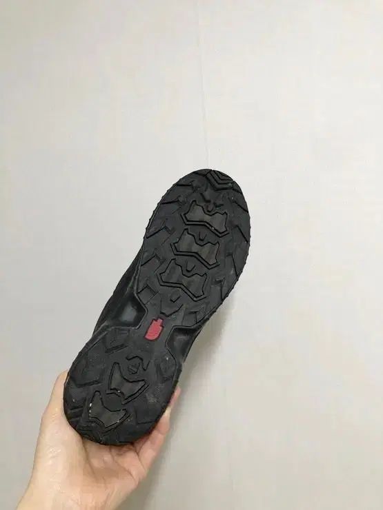 サイズ