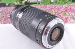 大切なシーンを望遠で！Canon Zoom LENS EF75-300mm F4-5.6 USM イベントに大活躍 ！キヤノン 望遠レンズ Zoom LENS 交換レンズ 一眼カメラ EOS Kiss レンズフード