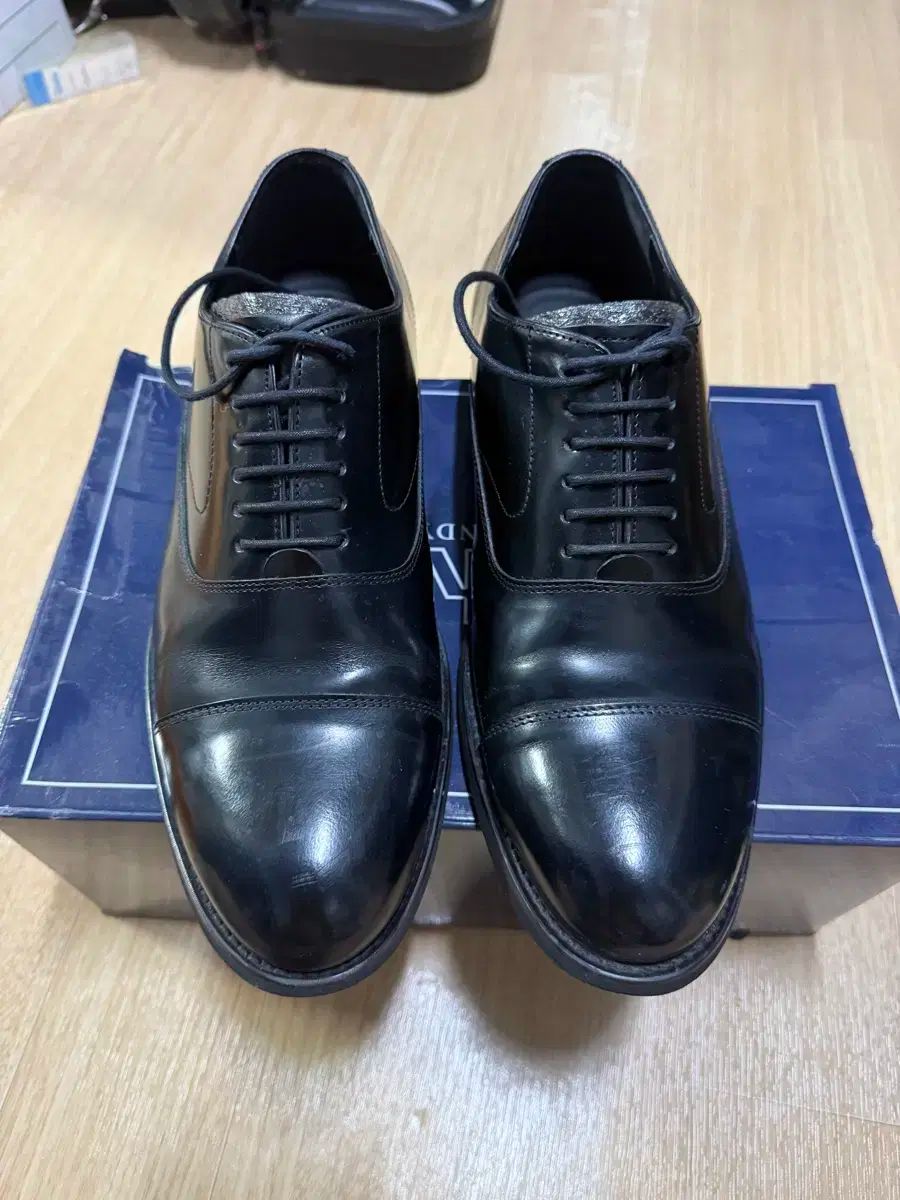 タンディ メンズシューズ