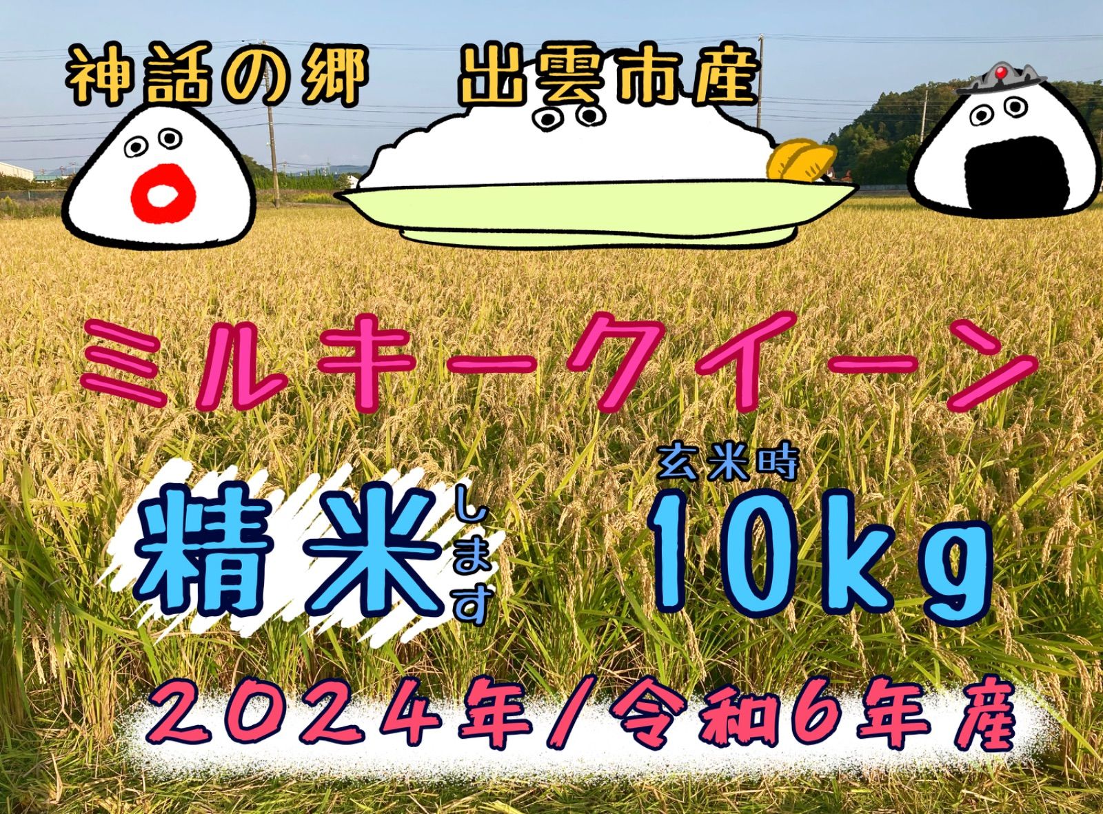産 ミルキークイーン 精米 〔玄米時〕約10㎏