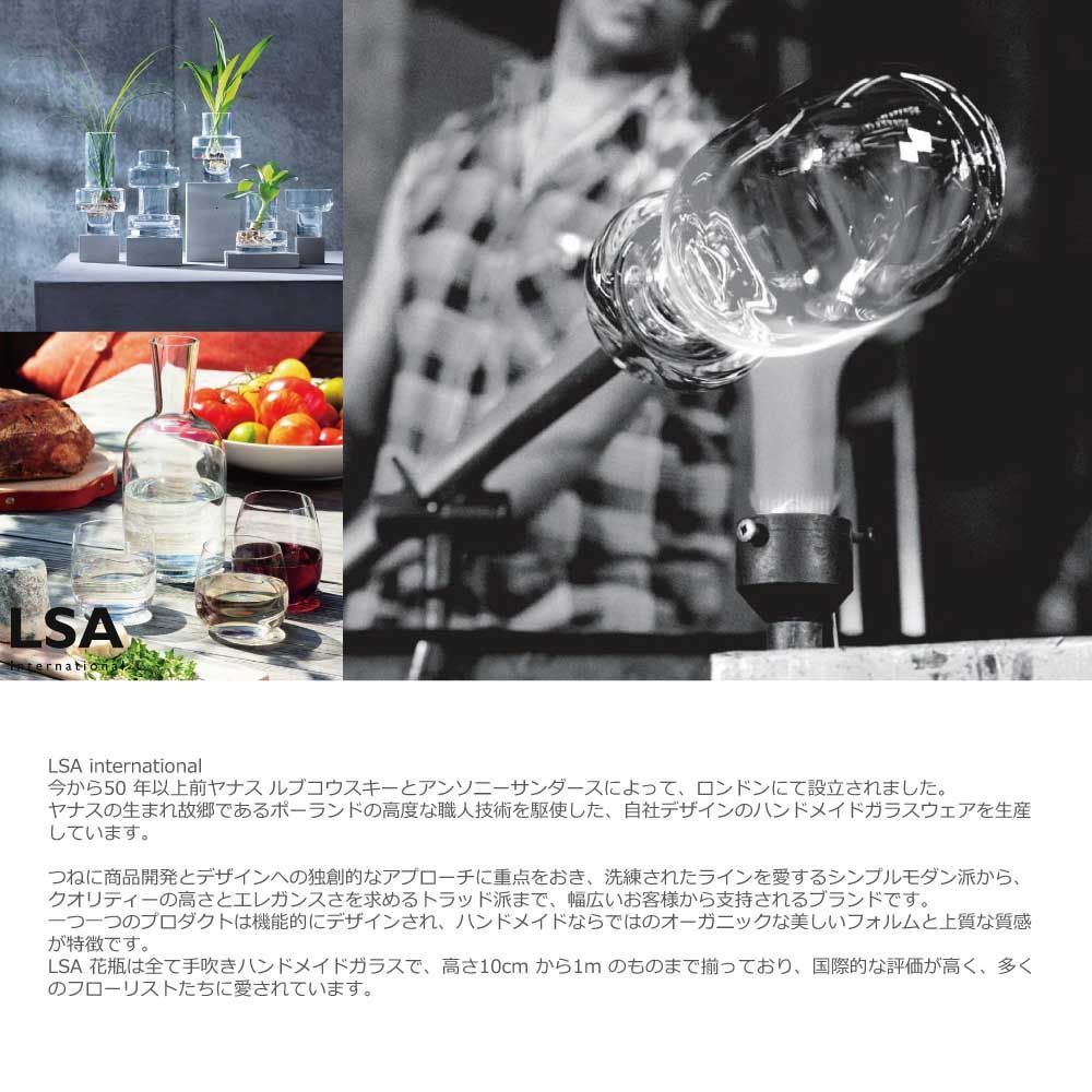 LSA エルエスエー フラワーベース 花器 花瓶 MIST Vase G1603-30-156 クリア LMC10 LSA International MIST VASE &frasl; エルエスエー インターナショナル