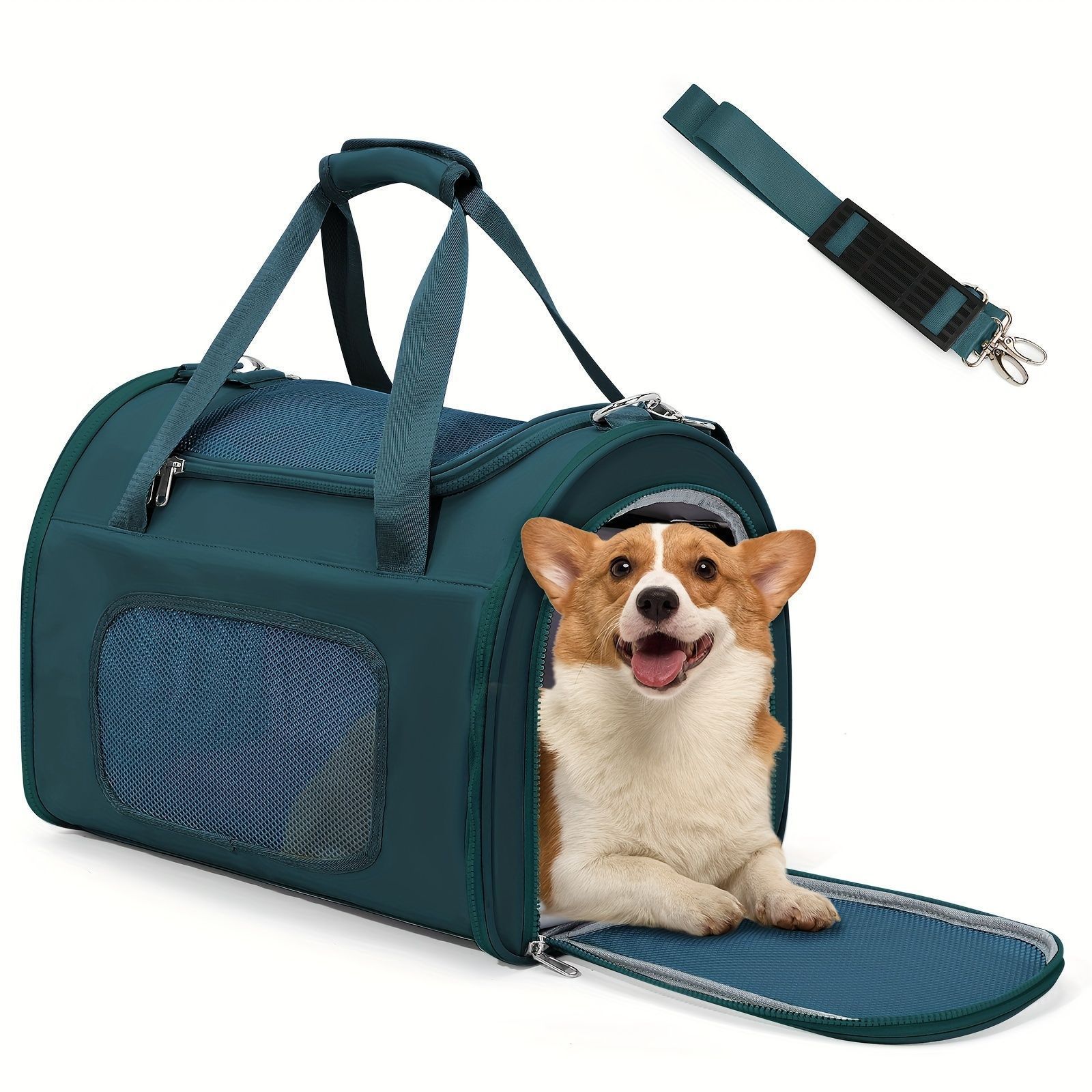 犬