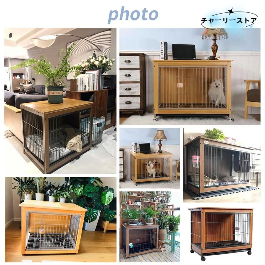 愛犬 犬
