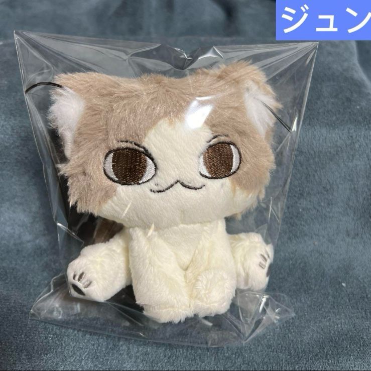 ジュン　10cm ぬいぐるみ　新品　マスター　セブチ　svt ジュン ぬいぐるみ 10cm 新品 マスター セブチ svt - メルカリ