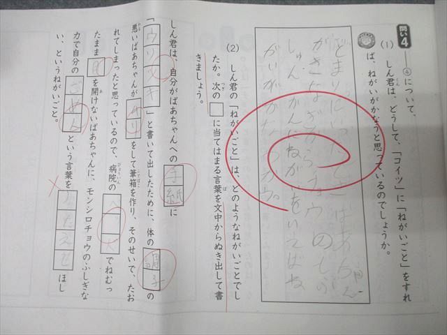 SAPIX 小学3年 デイリー/サマー/ウインターサピックス 長文